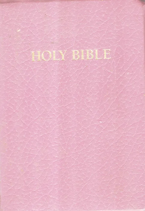 THE HOLY BIBLE BY Holman Bible Publishers