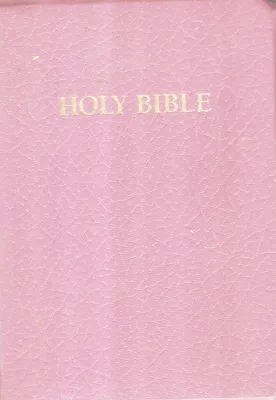 THE HOLY BIBLE BY Holman Bible Publishers