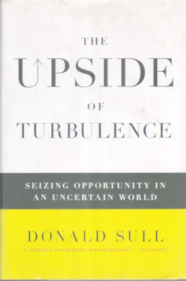 THE UPSIDE OF TURBULENCE BY DONALD SULL