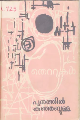THETTUKAL BY PUNATHIL KUNJABDULLA