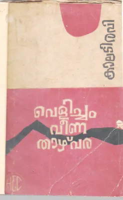 VELICHAM VEENA THAZHVARA BY KALADI RAVI