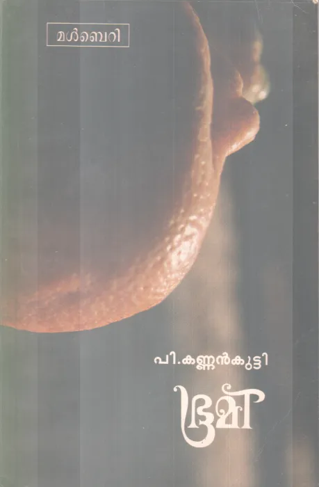 Bhoomi BY P Kannankutty