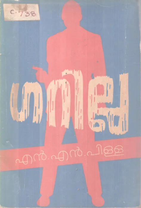Garilla BY N N Pillai