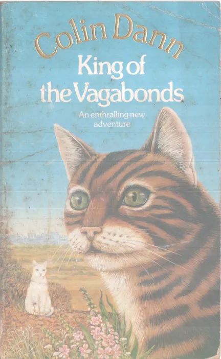 KING OF THE VAGABONDS BY COLIN DANN