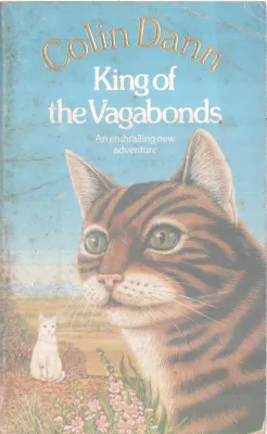 KING OF THE VAGABONDS BY COLIN DANN