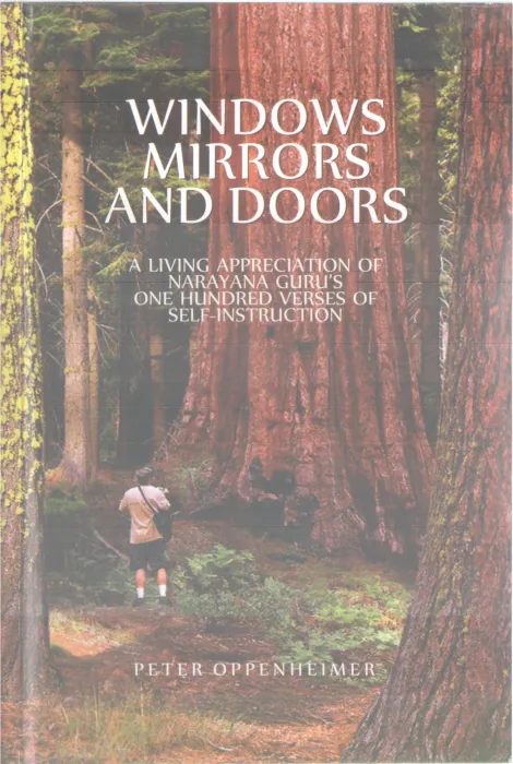 WINDOWS MIRRORS AND DOORS BY PETTER OPPENHEIMER