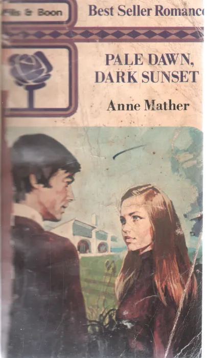 PALE DAWN DARK SUNSET BY ANNE MATHER