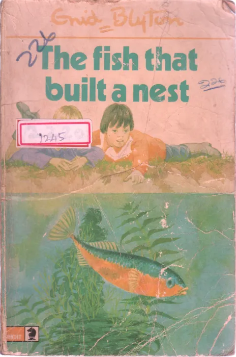 THE FISH THAT BUILT A NEST BY GRID BYTON