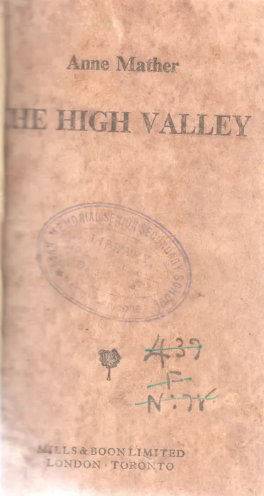 THE HIGH VALLEY BY ANNE MAATHER