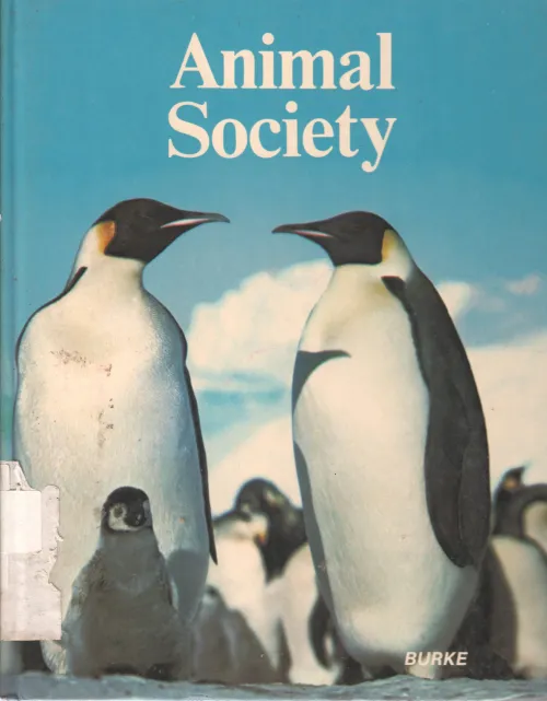 ANIMAL SOCIETY BY FEDERICA COLOMBO