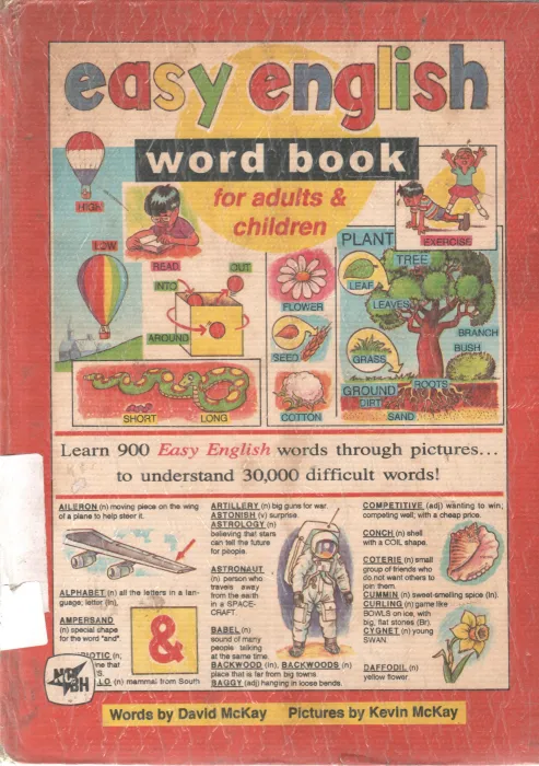 EASY ENGLISH WORD BOOK BY DAVID AND KEVIN MCKAY
