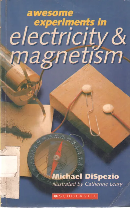 ELECTRICITY &amp; MAGNETISM BY MICHAEL DISPEZIO