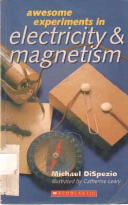 ELECTRICITY &amp; MAGNETISM BY MICHAEL DISPEZIO