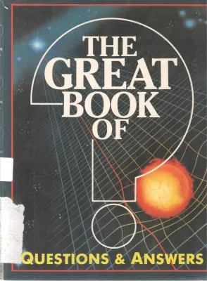 THE GREAT BOOK OF QUESTIONS &amp; ANSWERS