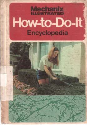 HOW TO DO IT
