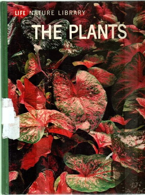 THE PLANTS BY FRITS W.WENT
