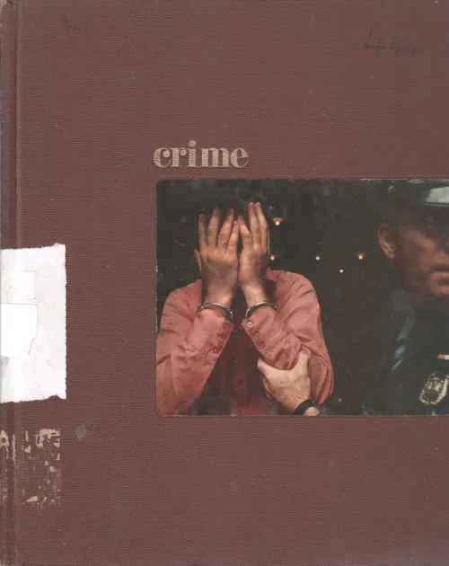 CRIME BY VIRGINA ADAMS