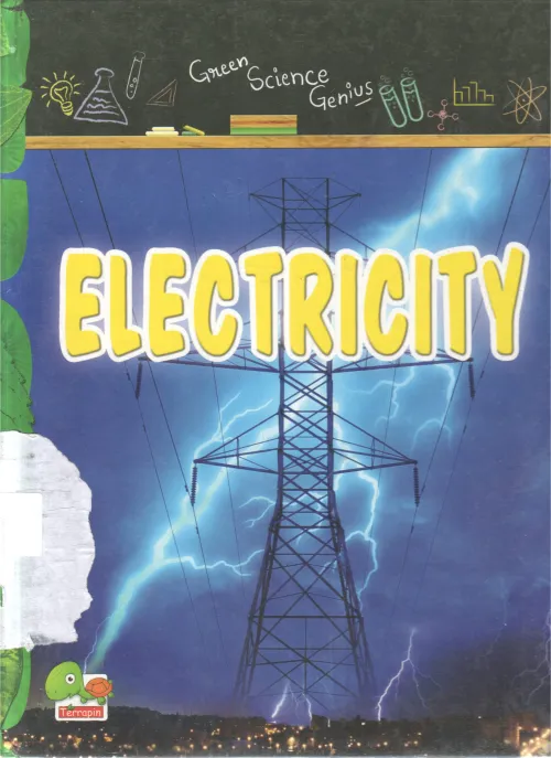 ELECTRICITY BY RUPAK GHOSH