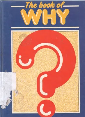 THE BOOK OF HOW BY GIUSEPPE ZANINI