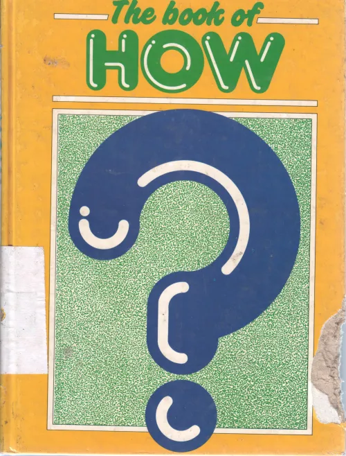 THE BOOK OF HOW BY GIUSEPPE ZANINI