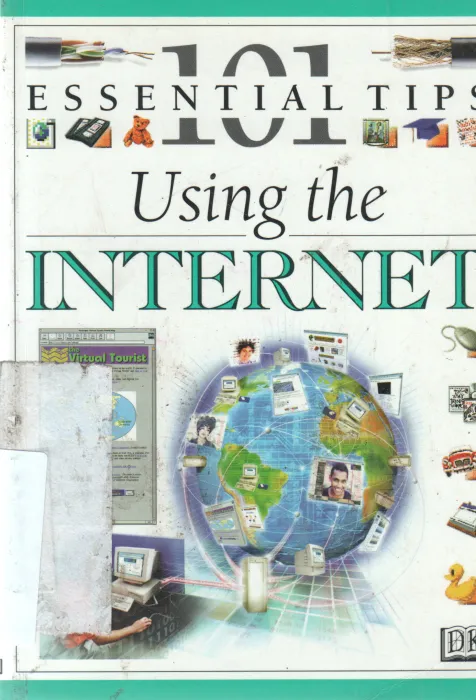 USING THE INTERNET