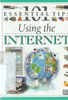 USING THE INTERNET