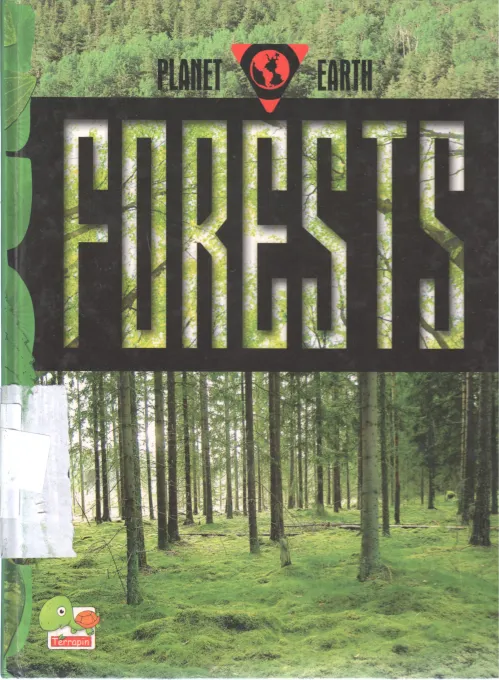 FORESTS BY RANI IYER