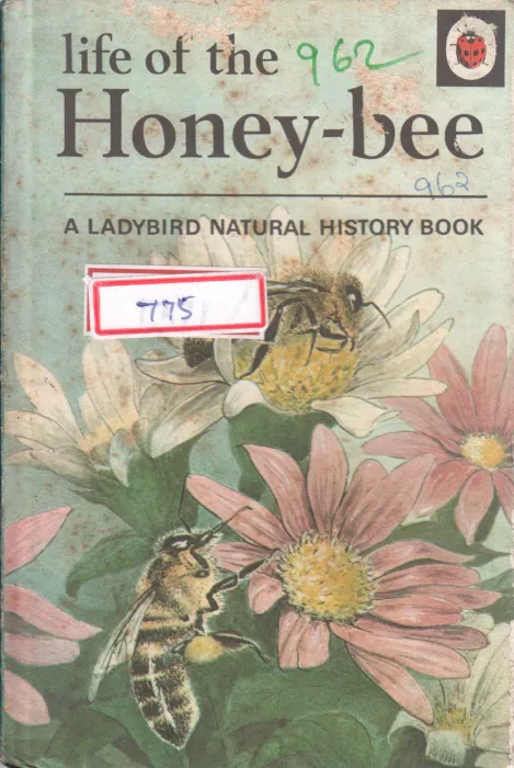 LIFE OF THE HONEY BEE