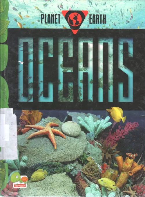 OCEANS BY VINEETA SINGH