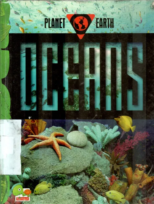 OCEANS BY VINEETA SINGH