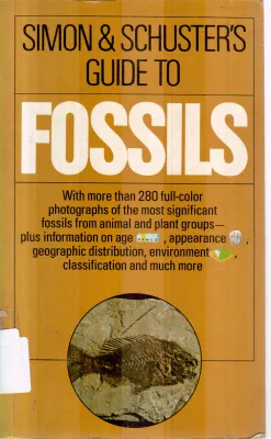 FOSSILS BY SIMON &amp; SCHUSTER