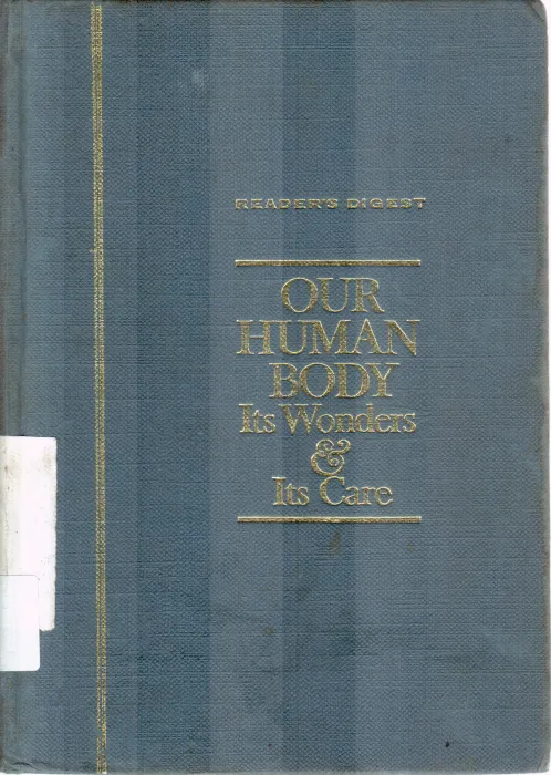 OUR HUMAN BODY