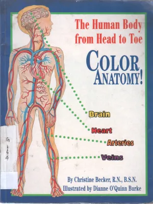 THE HUMAN BODY FROM HEAD TO TOE BY CHRISTINE BECKER