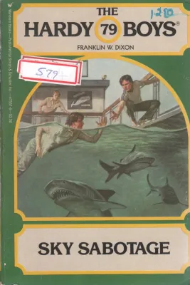 SKY SABOTAGE BY FRANKLIN W.DIXON