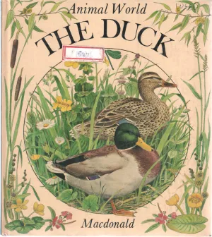 THE DUCK BY MACDONNALD
