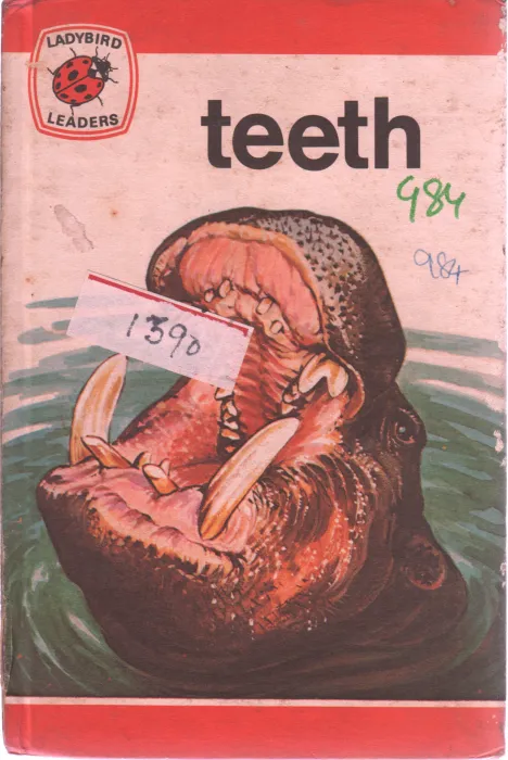 TEETH BY SANDRA HALFORD