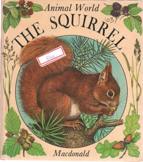 THE SQUIRREL BY MACDONNALD