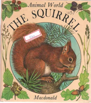 THE SQUIRREL BY MACDONNALD