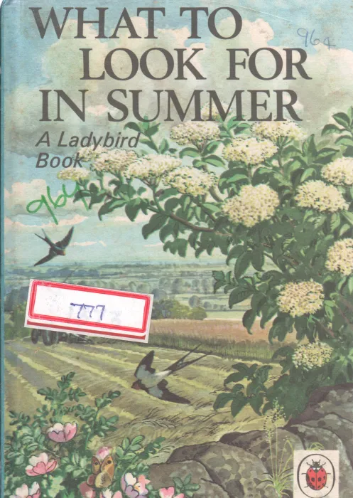 WHAT TO LOOK FOR IN SUMMER BY E.L. GRANT WATSON