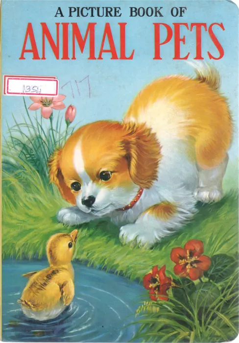 ANIMALS PET