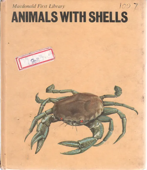 ANIMALS WITH SHELLS BY MACDONALD