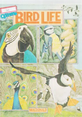 BIRD LIFE