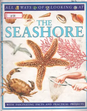 THE SEASHORE