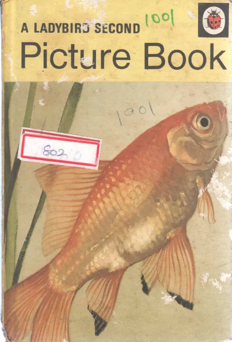 A LADYBIRD SECOND PICTUR BOOK