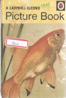 A LADYBIRD SECOND PICTUR BOOK