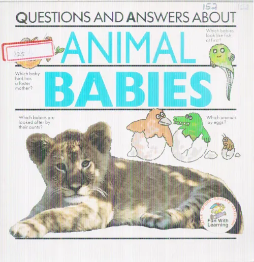 ANIMAL BABIES