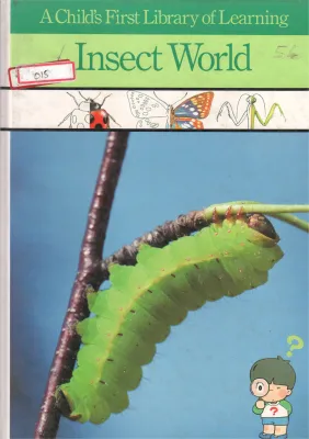 INSECT WORLD