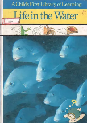 LIFE IN THE WATER