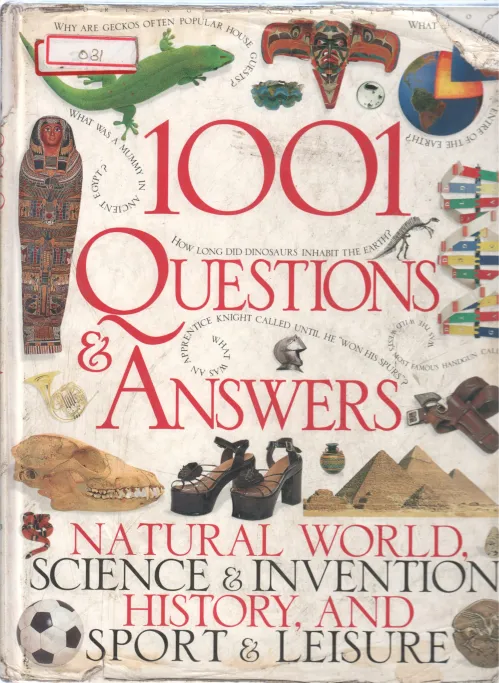 1001 QUESTION AND ANSWER