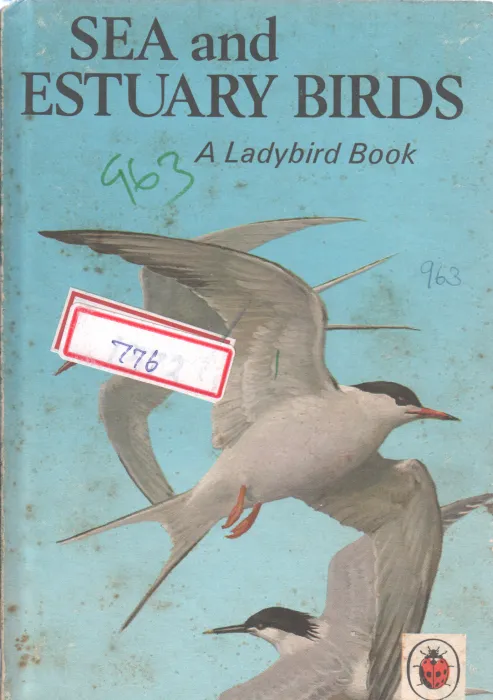 SEA AND ESTUARY BIRDS